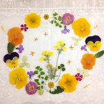 押し花＊ミックスY15