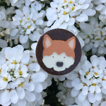 柴犬