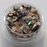 きらきら　クラックシェル　ナチュラル　大粒　Aランク20g　S181