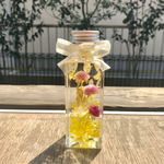 ドライ センニチコウ Sサイズ