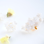 ✿ 小さなお花のブーケイヤーカフ ＆イヤリング/ピアス ✿ 