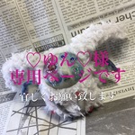 ♡ゆん♡様専用ページ