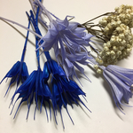 花材 4種セットD