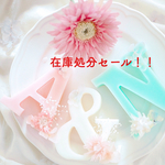 【kanyaaaaa様専用】