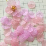 アクリル製　花びらパーツ　単色:ピンク　20Ｘ18㎜　40枚