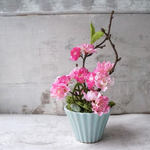 ★Sale10％off★　で楽しむ桜アレンジ♫