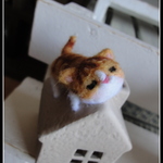 ＊おうちの上のお昼寝ねこちゃん＊