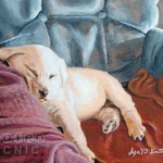 「マギー」　ポストカード