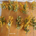 ドライフラワー　ミモザ　ミニ丈　１０本　ハーバリウム　植物標本　フレーム　材料 