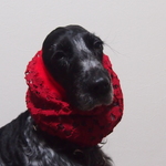 　♡お洒落!レッド!コットンコードラッセルレース・レッドリブニット♡中型犬スヌード