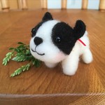 赤いリボンの犬さん