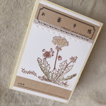 お薬手帳カバー 種類が増えました！