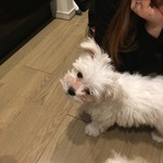 ♥️jerry様専用ページ♥️