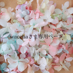 wacchaさま専用ページ