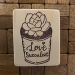 リメ缶エケベリア Love succulents