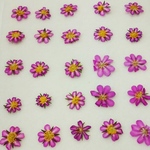 バウェラの押し花素材