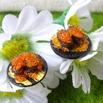 こぼれイクラ軍艦の平皿ピアス