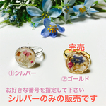 アリッサムとレースフラワーのリング  