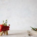 Red pepper dog（アシピー）大型犬