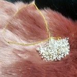 かすみ草ネックレス　プリザーブドかすみ草　つぼみ