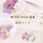 ★little forest様★専用ページ