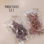 限定 ２色セット ハイブリッド スターチス ❁