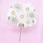 押し花のiPhoneケース - bouquet - pure