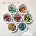 かすみ草＊選べる＊ドライフラワー