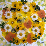 ♡new♡ 送料無料！¥1180 ♡たっぷり押し花セット♡