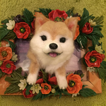 羊毛フェルト柴犬のブローチ