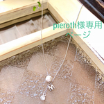 pieroth様専用ページ