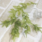 ラスカスプリザーブド　セージグリーン　約50㎝分