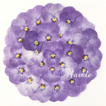 パープルビオラ＊押し花素材