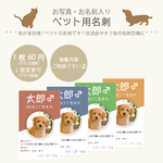 【ペット用名刺】♡10枚セット＜写真・お名前入り＞（名刺サイズ）