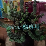 巾着袋とお名前ホルダー