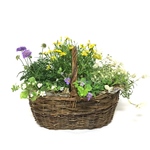 寄せ植えバスケット♪ブルー＆イエロー