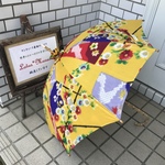 日傘　de　着物　銘仙　春うらら