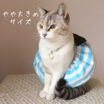 ♡やや大きめ しましまスカート アリス風♡