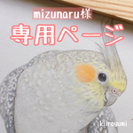 mizunaru様専用ページ