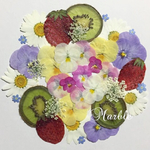 2＊押しフルーツ&押し花素材