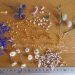 ドライフラワー 小花 花びら ミモザ 花かんざし ラグラス キャンドル レジン ハーバリウム 材料