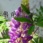 まめ様専用ページ