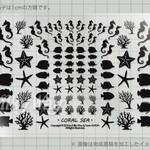  「珊瑚礁の生きもの」レジン封入用シート