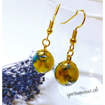 黄色&青のかすみ草のハーバリウムピアス