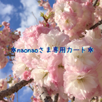 ＊ nao naoさま専用カート＊