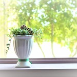 ♡タニク寄せ植え　ギフト♡