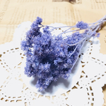 クリスパム☆エンジェルパープル☆ハーバリウム☆レジン