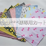 【haru***様専用カート】給食セット、上履き袋、体操服袋等　計12点