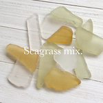［100g］シーグラス マンゴー