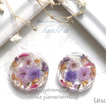 ♡再販♡ドライフラワー サークルピアス / イヤリング  popohau 